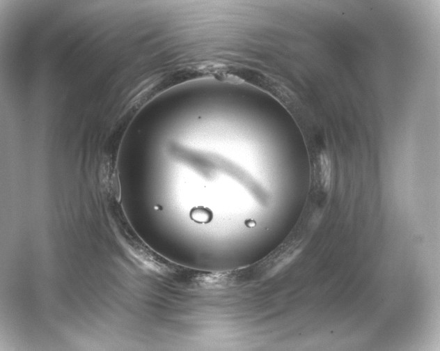 X0000066520092200603171229