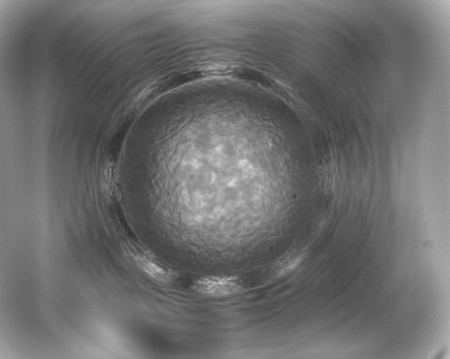 X0000066520093200603171229