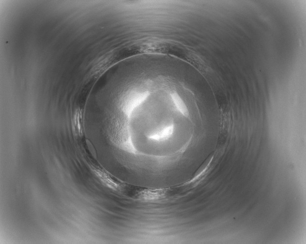 X0000066520094200603171229