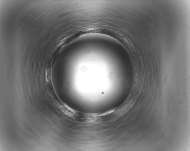 X0000066520096200603171229