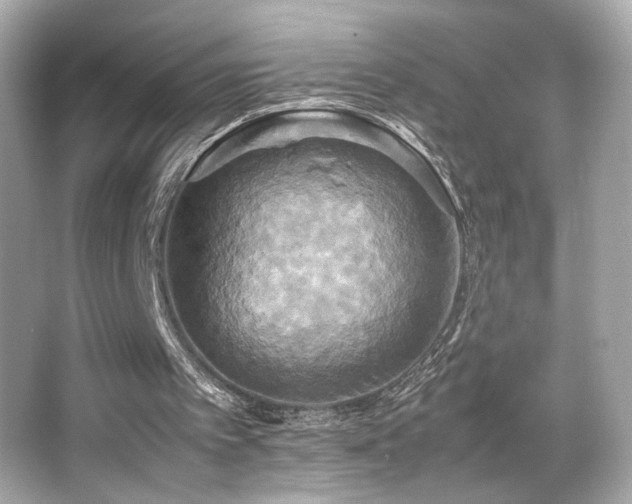 X0000066520097200603171228