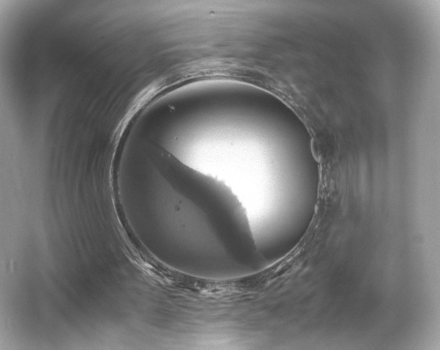 X0000066520099200603171228