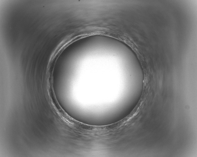 X0000066520101200603171228