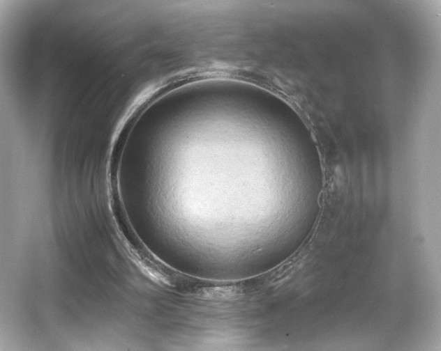 X0000066520102200603171228