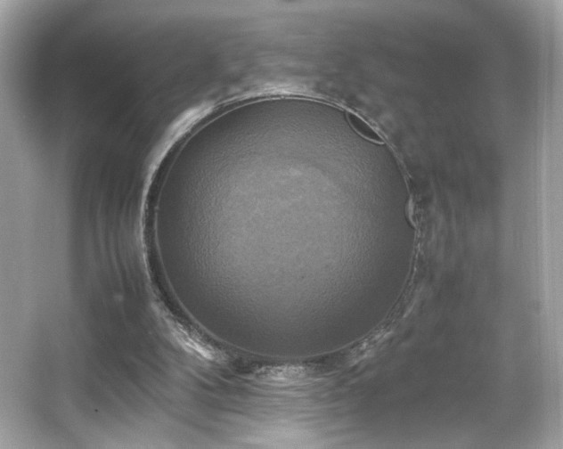 X0000066520104200603171228