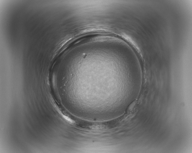 X0000066520105200603171228