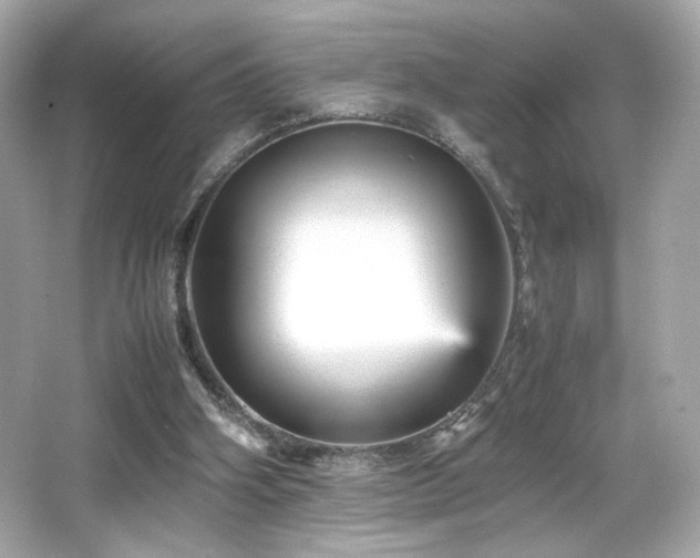 X0000066520106200603171228