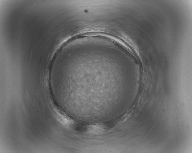 X0000066520107200603171228