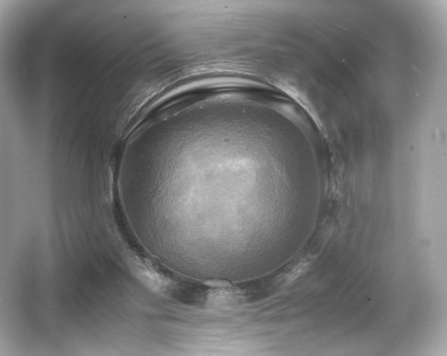 X0000066520109200603171228