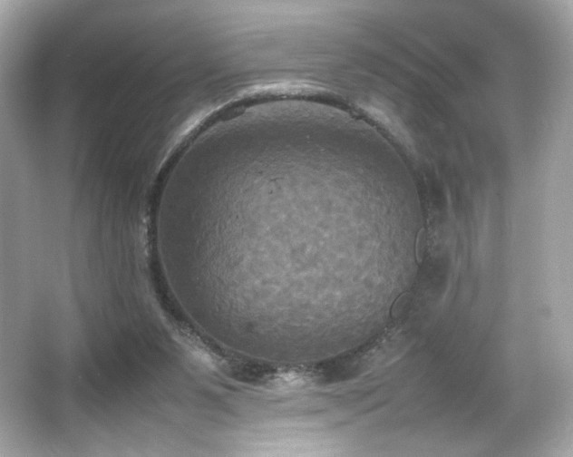 X0000066520111200603171228