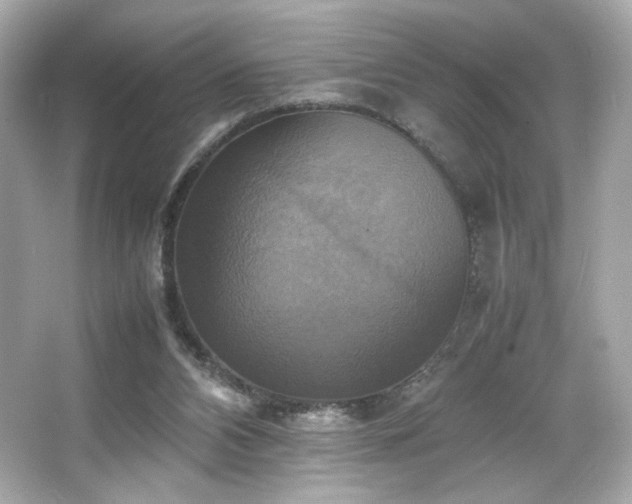 X0000066520112200603171228