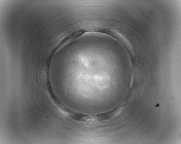 X0000066520113200603171228