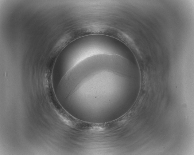 X0000066520114200603171228