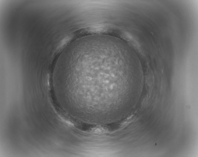 X0000066520115200603171228