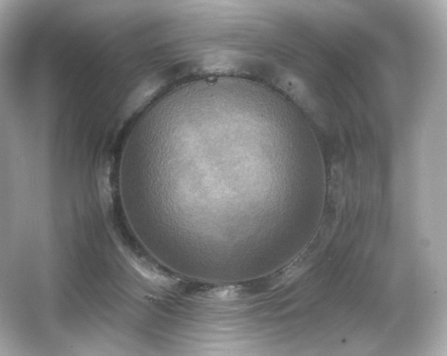 X0000066520116200603171228