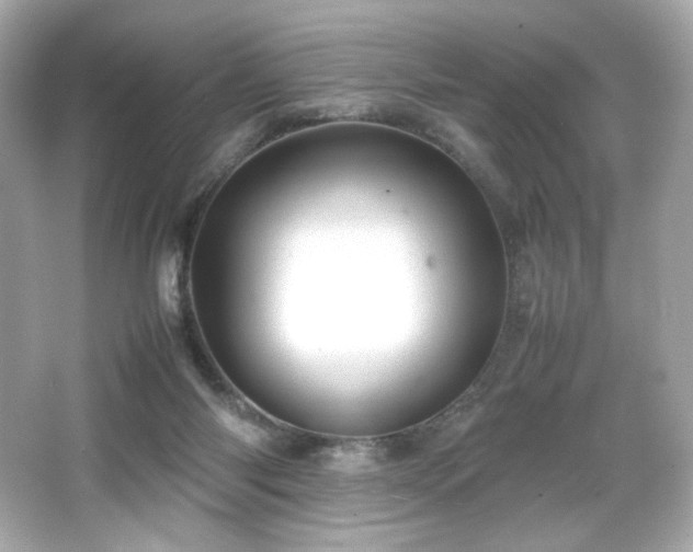 X0000066520118200603171228