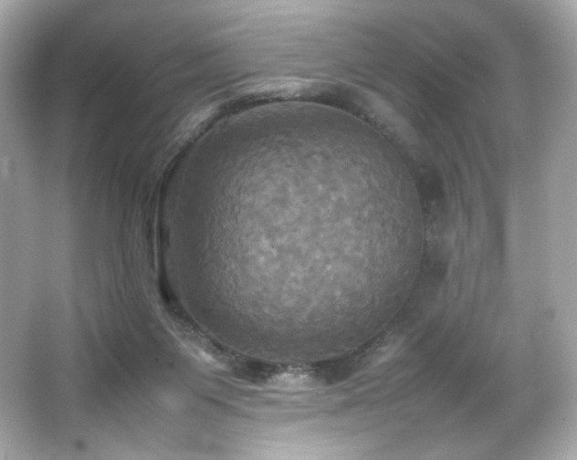 X0000066520119200603171228