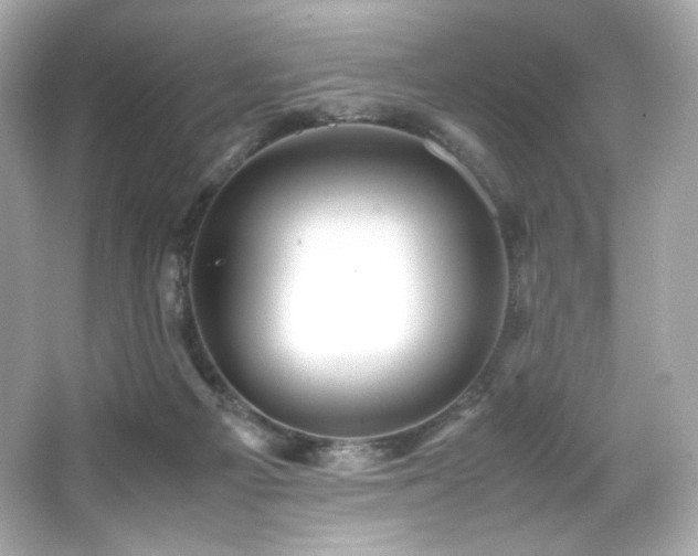 X0000066520121200603171228