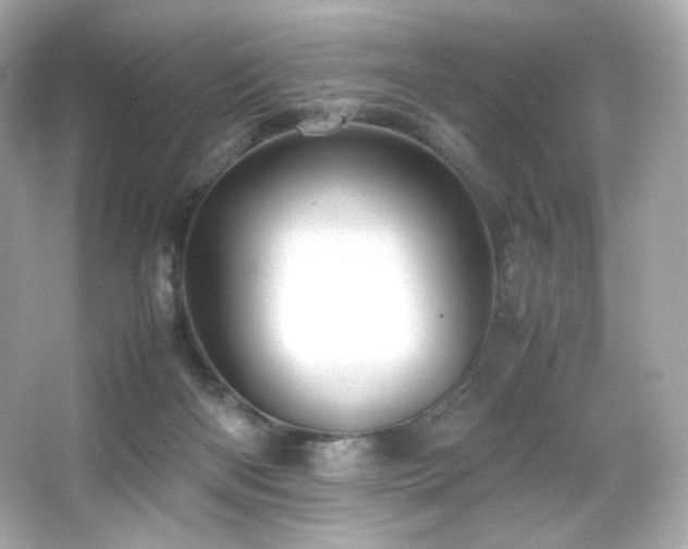 X0000066520122200603171228