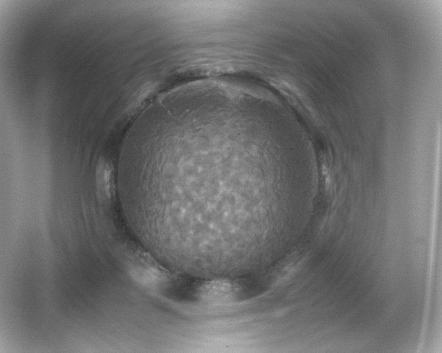 X0000066520123200603171228