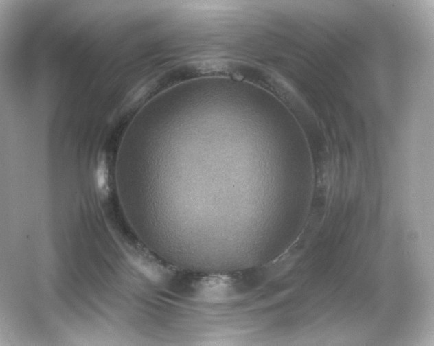 X0000066520124200603171228