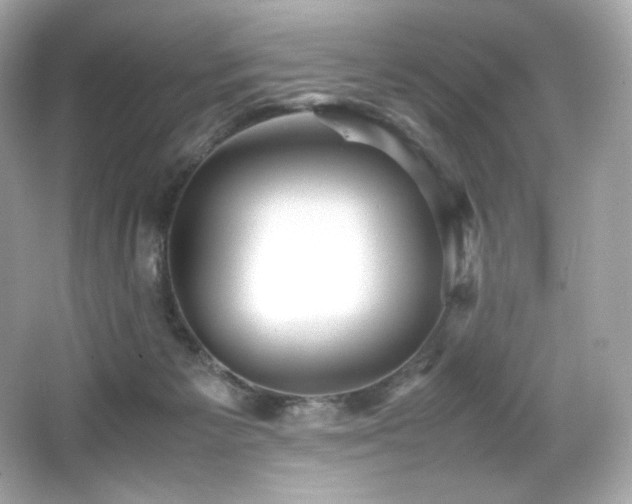 X0000066520125200603171228