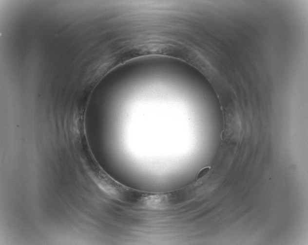 X0000066520126200603171228