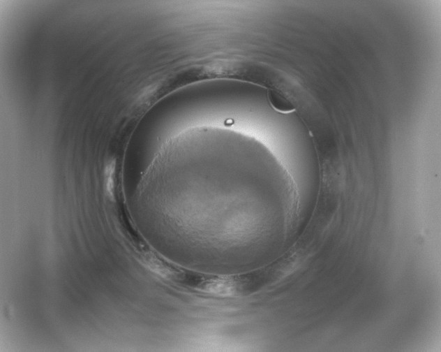 X0000066520127200603171228