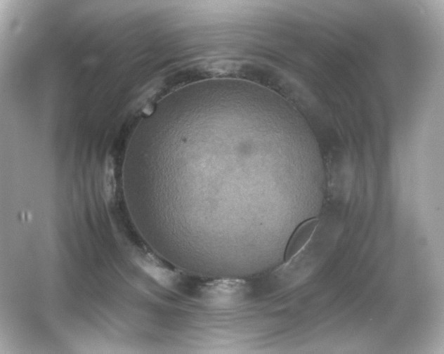 X0000066520128200603171228