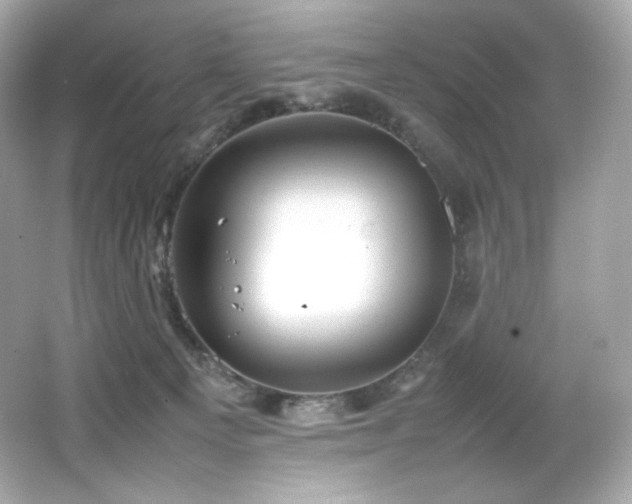 X0000066520129200603171228