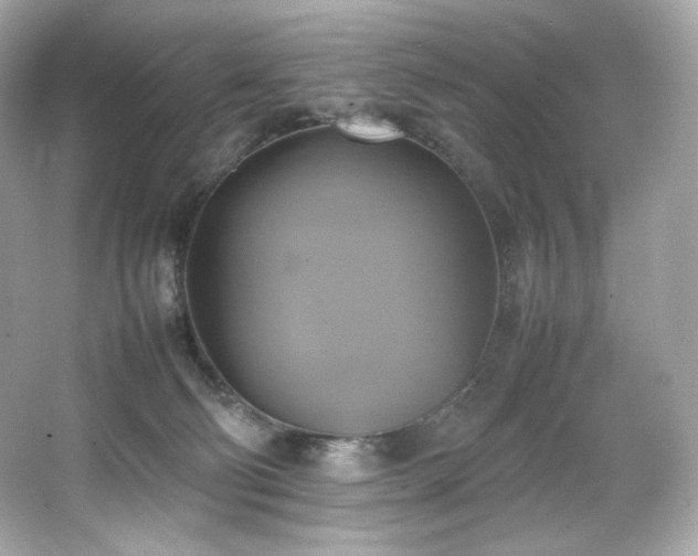 X0000066520130200603171228