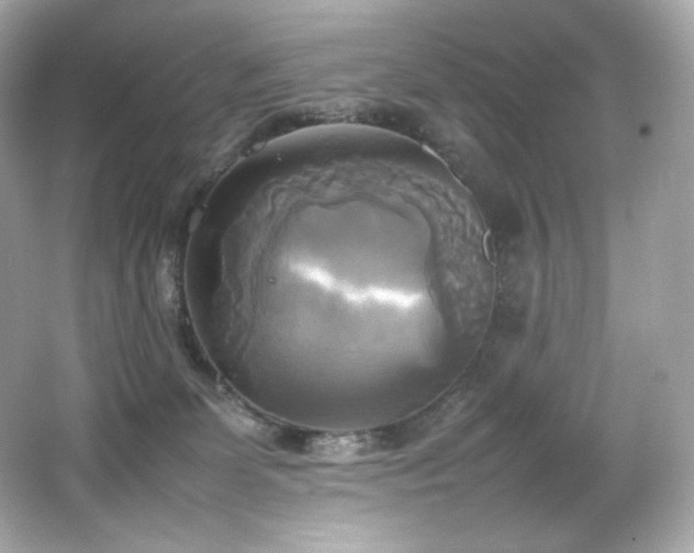 X0000066520131200603171228