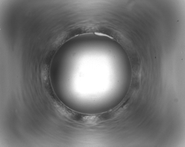 X0000066520133200603171228