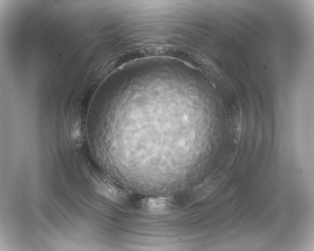 X0000066520134200603171228