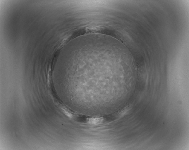 X0000066520135200603171228