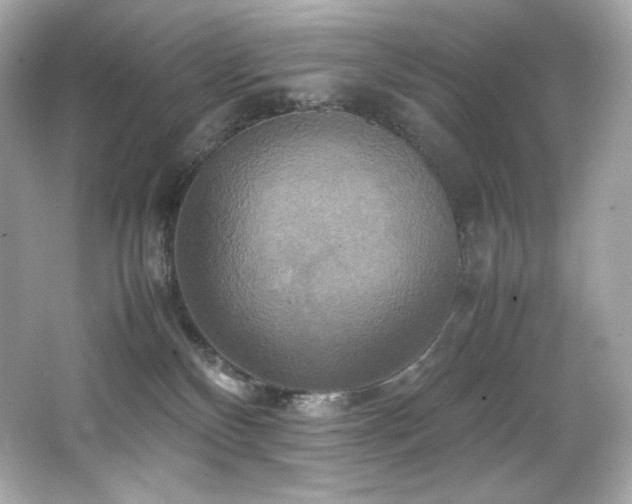 X0000066520136200603171228