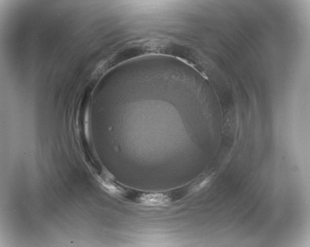 X0000066520137200603171228