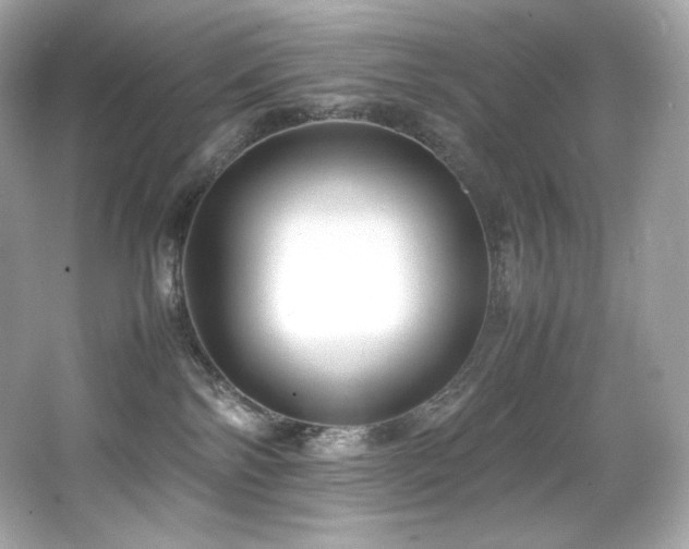 X0000066520138200603171228