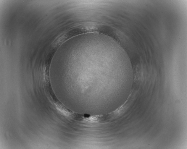 X0000066520140200603171228