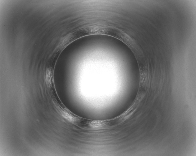 X0000066520142200603171228