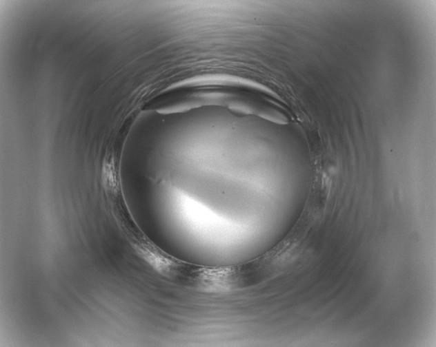 X0000066520143200603171228