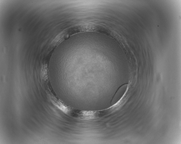 X0000066520144200603171228