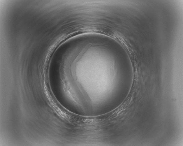 X0000066520145200603171227