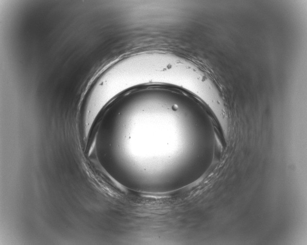 X0000066520146200603171227