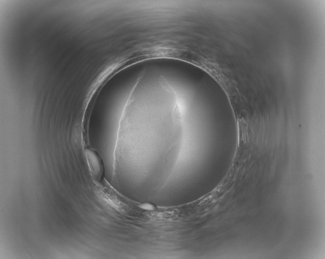 X0000066520147200603171227