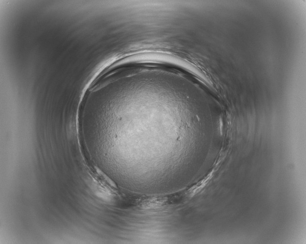 X0000066520148200603171227