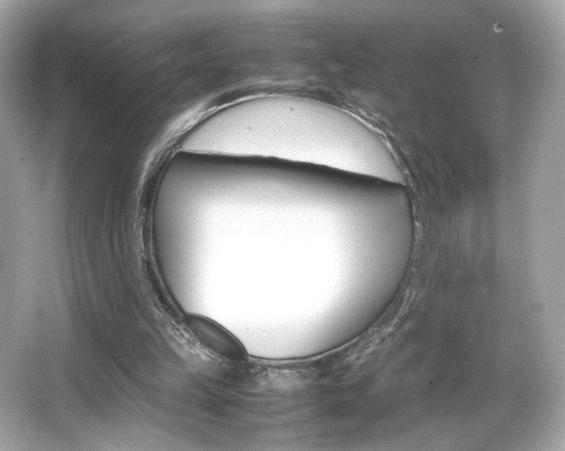 X0000066520149200603171227