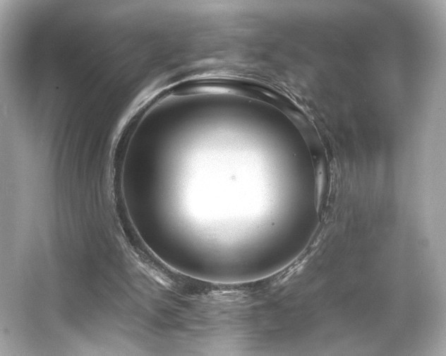 X0000066520150200603171227