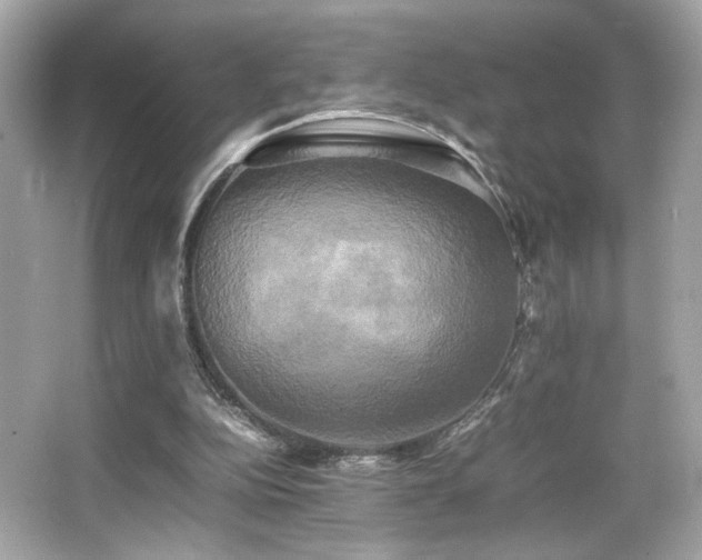 X0000066520152200603171227