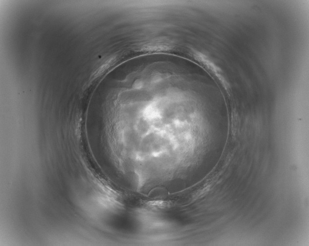 X0000066520153200603171227